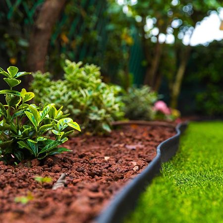 Urban Cottage Free Parking - Private Garden بولونيا المظهر الخارجي الصورة