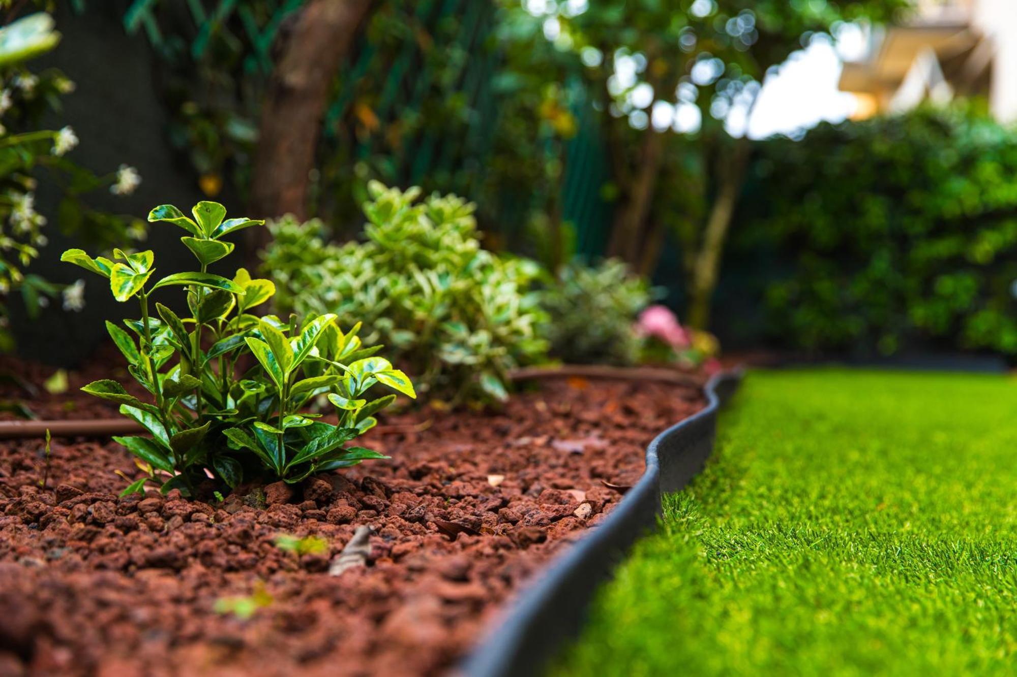 Urban Cottage Free Parking - Private Garden بولونيا المظهر الخارجي الصورة